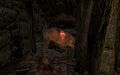 Thumbnail for version as of 16:35, 18 November 2025
