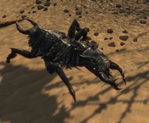 EN-Creature-Pus Beetle.jpg
