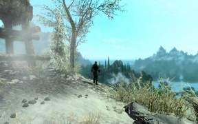 Jespar Enjoying the View