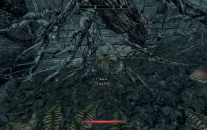 EN-Places-Unamrked Shack1.jpg