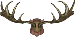 600px-EN-Placeable-Trophy Antlers.png
