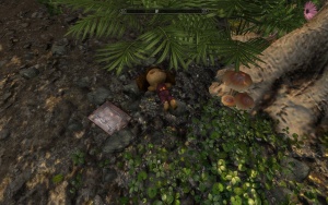 EN-quests-A Nice Day in Summer4.jpg