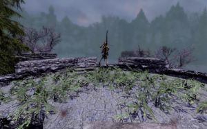 576px-EN-Places-Whisperwood Ruined Towers5.jpg