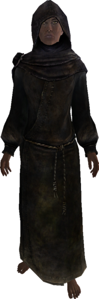 File:298px-EN-NPC-The Veiled Woman 3.png