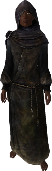 File:277px-EN-NPC-The Veiled Woman 2.png