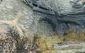 Thumbnail for version as of 16:36, 18 November 2025