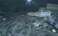 Thumbnail for version as of 16:29, 18 November 2025