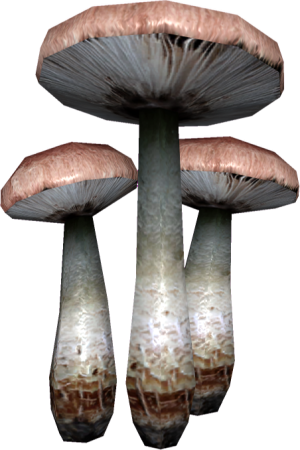 20251118162844!EN-Ingredient-Stain Mushroom.png