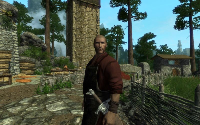 File:1600px-EN-NPCs-Lywin Ironman.jpg