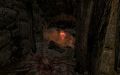 Thumbnail for version as of 16:35, 18 November 2025