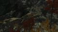 Thumbnail for version as of 16:31, 18 November 2025