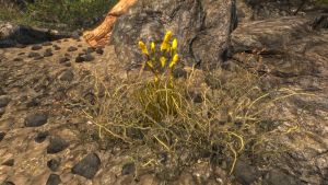 20251118162732!EN-Quest-Trails in the Sand 4.jpg