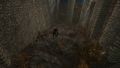 Thumbnail for version as of 16:33, 18 November 2025