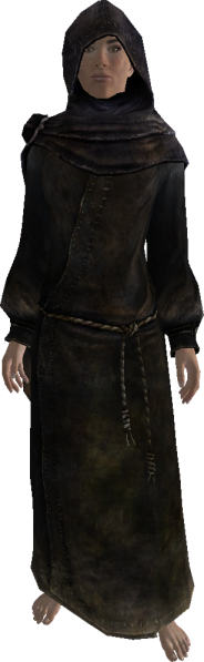 File:20251118162742!EN-NPC-The Veiled Woman.png