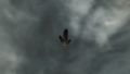 Thumbnail for version as of 16:30, 18 November 2025
