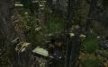 Thumbnail for version as of 16:29, 18 November 2025