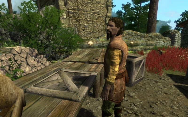 File:20251118162840!EN-NPCs-Falkas Farreach.jpg