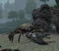Thumbnail for version as of 16:35, 18 November 2025