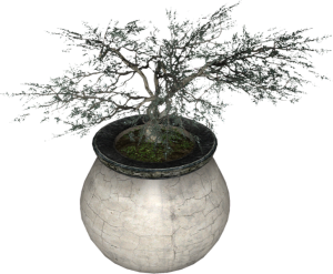 729px-EN-Placeable-Juniper.png