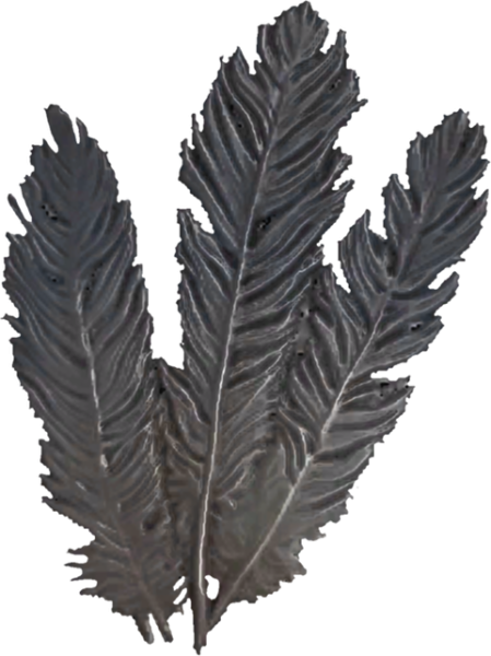 File:20251118162741!EN-Ingredient-Feathers.png