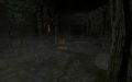 Thumbnail for version as of 16:28, 18 November 2025