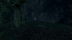 321px-EN-Places-Mana Pond3.jpg