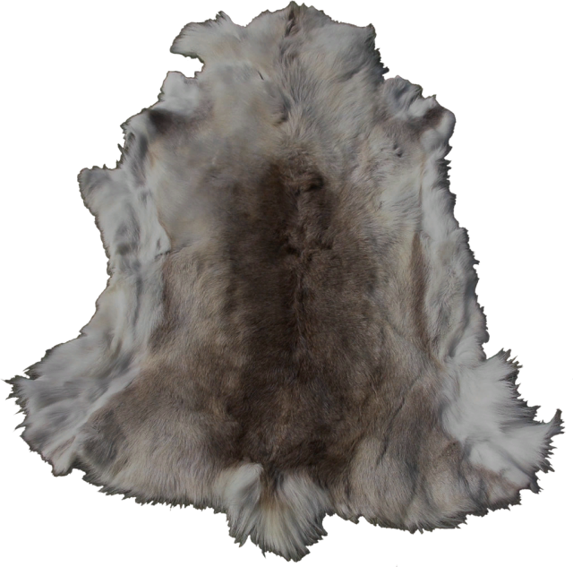 Enderal:Pelt (Placeable) - SureAI Wiki