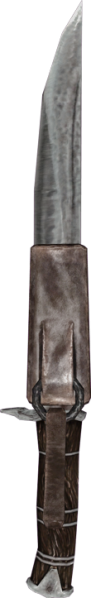 File:20251118162731!EN-Weapon-Iron Knife.png