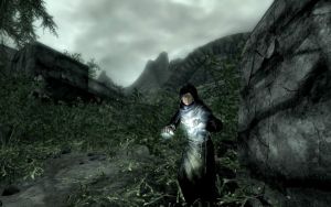 600px-EN-NPCs-Entropy Mage.jpg