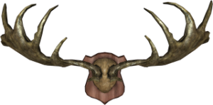 320px-EN-Placeable-Trophy Antlers.png
