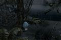 Thumbnail for version as of 16:32, 18 November 2025