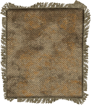 20251118162837!EN-Placeable-Carpet 3.png