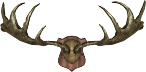400px-EN-Placeable-Trophy Antlers.png