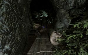 1600px-EN-Places-Brownrock Cave1.jpg
