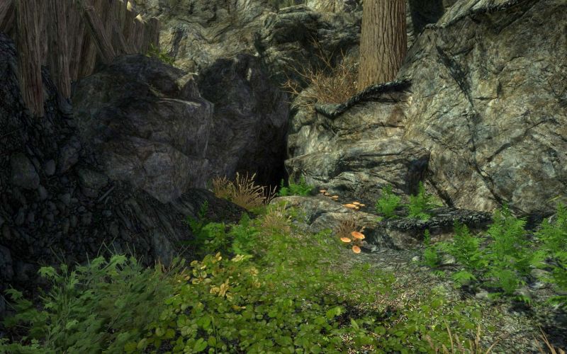 File:20251118162732!EN-Places-Bear Cave4.jpg