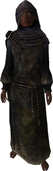 File:209px-EN-NPC-The Veiled Woman 2.png