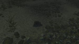 450px-EN-Quest-The Void Underwater Lockbox.png