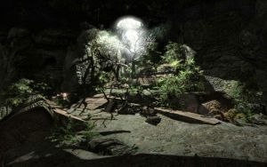 EN-Places-Brownrock Cave12.jpg