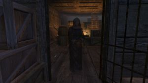 20251118162836!EN-quests-a new life6.jpg