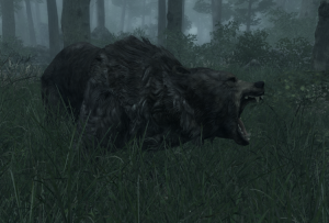 750px-EN-Creature-Black Bear.png
