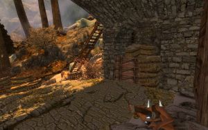 1600px-EN-Places-Ark's Last Watch5.jpg