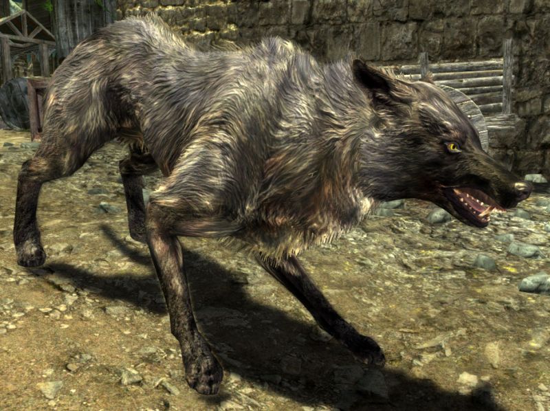 File:20251118162846!EN-Creature-Wolf.jpg