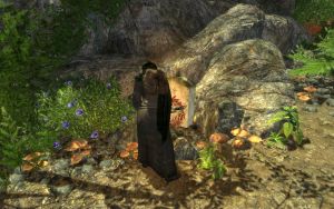 20251118162829!EN-places-Last Journey's Stone3.jpg