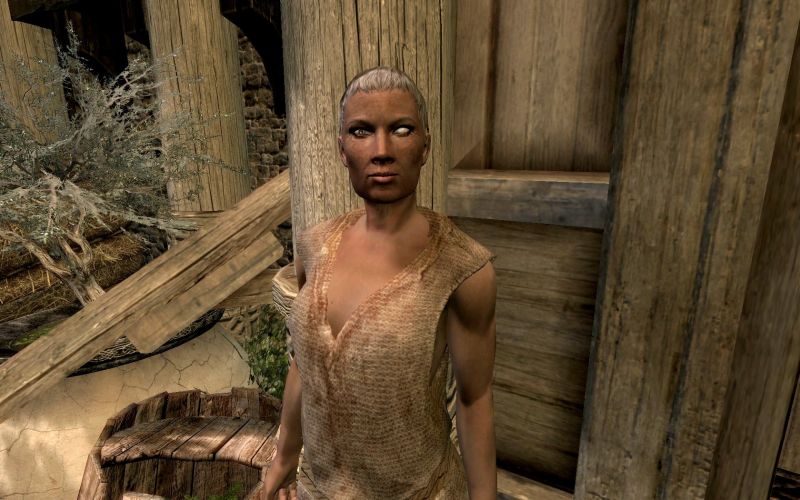File:20251118162842!EN-NPCs- Elena Chagrin.jpg