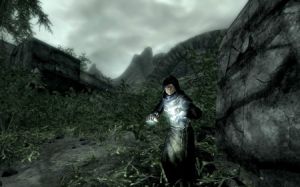 450px-EN-NPCs-Entropy Mage.jpg