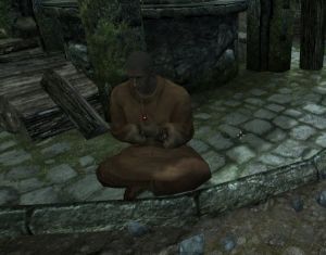 600px-EN-NPC-Merrol Booksnopper.jpg
