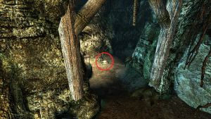 20251118163930!EN-Quest-In Our Shadows 3.jpg