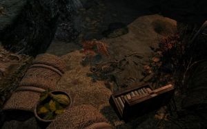 1600px-EN-Places-Shadow Echo Mine5).jpg