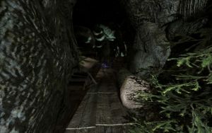 576px-EN-Places-Brownrock Cave1.jpg