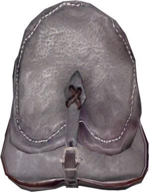 EN-Items-Spacious Backpack.png